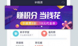 91投资在线直播,揭秘投资界的实时风向标