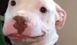 娱乐圈吃瓜蛙,揭秘明星幕后故事与八卦风云